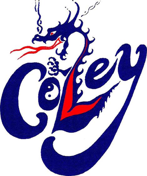 Company logo design service 